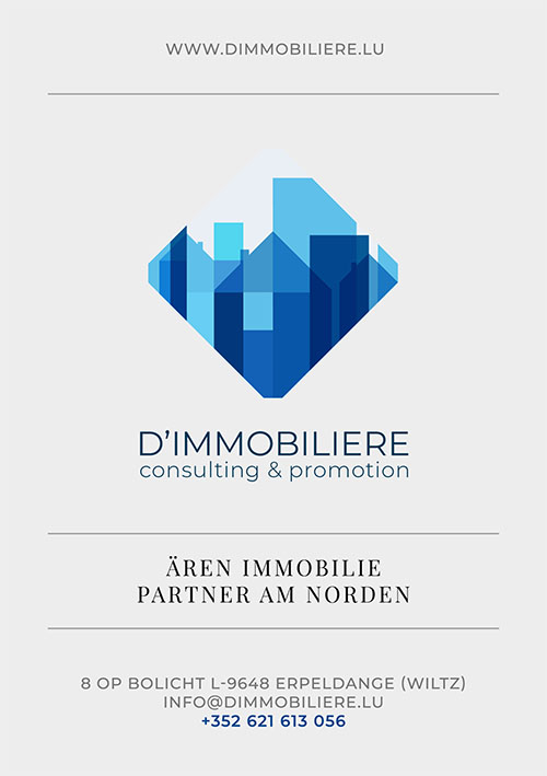 D'Immobliere - Flyer - Front
