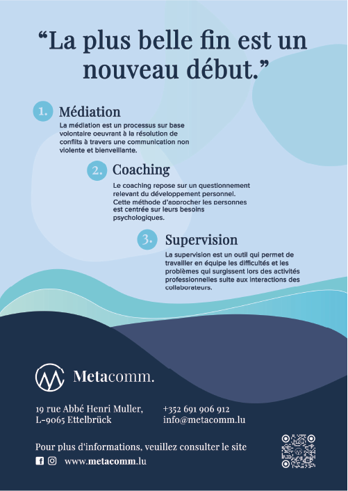 Metacomm - Flyer Back