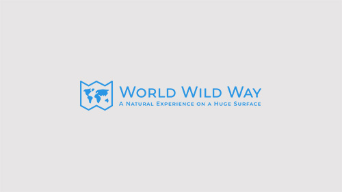 World Wild Way - Logo - Blue
